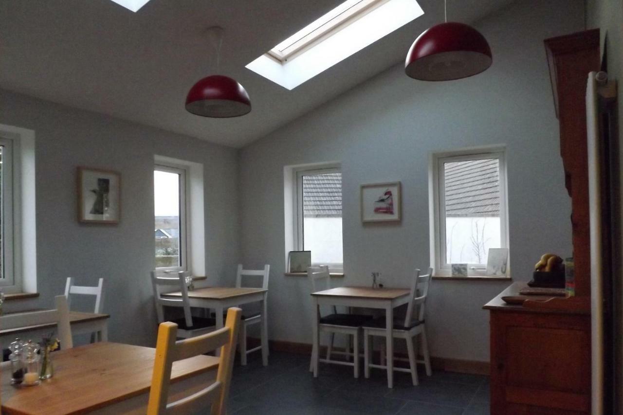 Ty Boia Bed & Breakfast St Davids Exterior foto